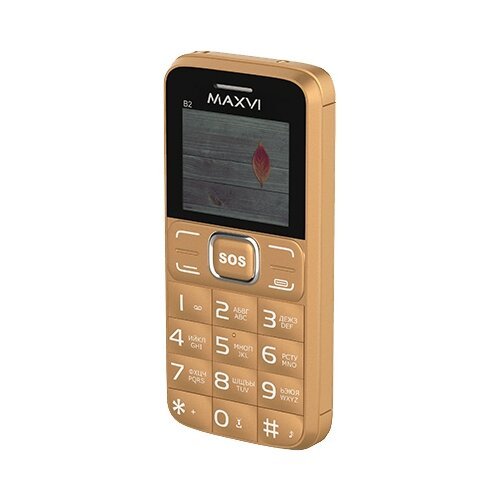 Мобильный Телефон Maxvi B2 серый .