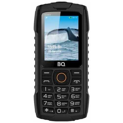 Мобильный телефон BQ 2439 Bobber Black (85960598)